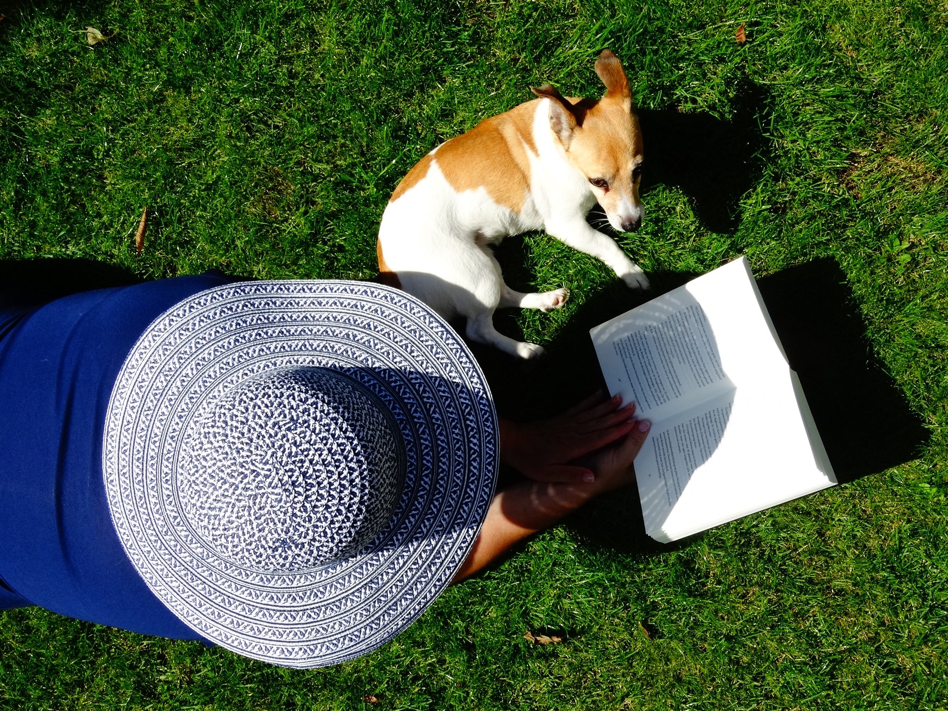 woman reading with her dog